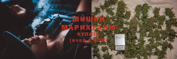 ГАЛЛЮЦИНОГЕННЫЕ ГРИБЫ Пересвет