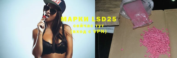 ГАЛЛЮЦИНОГЕННЫЕ ГРИБЫ Пересвет