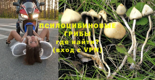 ГАЛЛЮЦИНОГЕННЫЕ ГРИБЫ Абинск