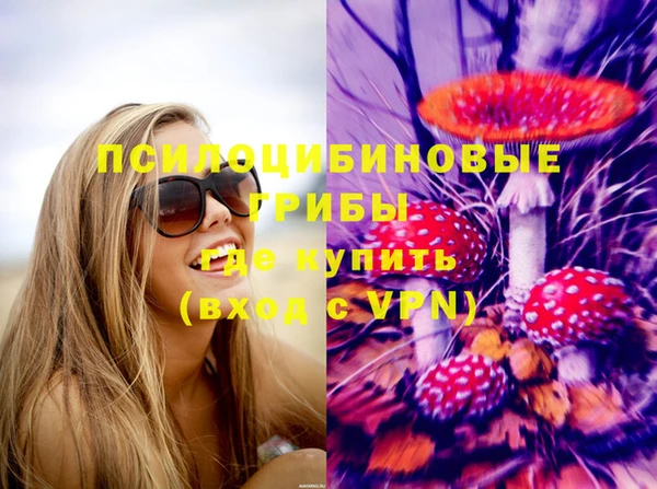 ГАЛЛЮЦИНОГЕННЫЕ ГРИБЫ Абинск